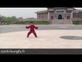 Chen Tian Qing Tai Chi style Chen Xiaojia Yilu  [陈氏太极拳小架 Taijiquan style Chen]