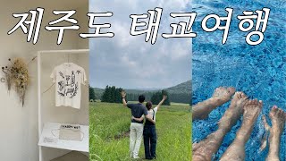 🤰🏻vlog 28주 임산부 제주도 태교여행 | 애월부터 서귀포까지🐴 포토스팟 추천 | 서귀포 카페 | 신라호텔 #제주여행 #태교여행