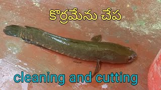 Murrel fish||Korameenu fish cleaning and cutting process step by step