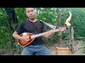 พิณโปร่งไฟฟ้า 4 สาย all solid ไม้ขนุน 24 เฟร็ต by art shop guitar