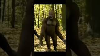 Dj Paatalatho Valalo  Gorilla version 🦍🦍  Dj Gorilla    Dj songs Telugu   2023