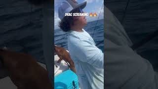 Drag screaming 🔥🔥 #islandlifefishing ##dailyvlog #keylargo #offshore