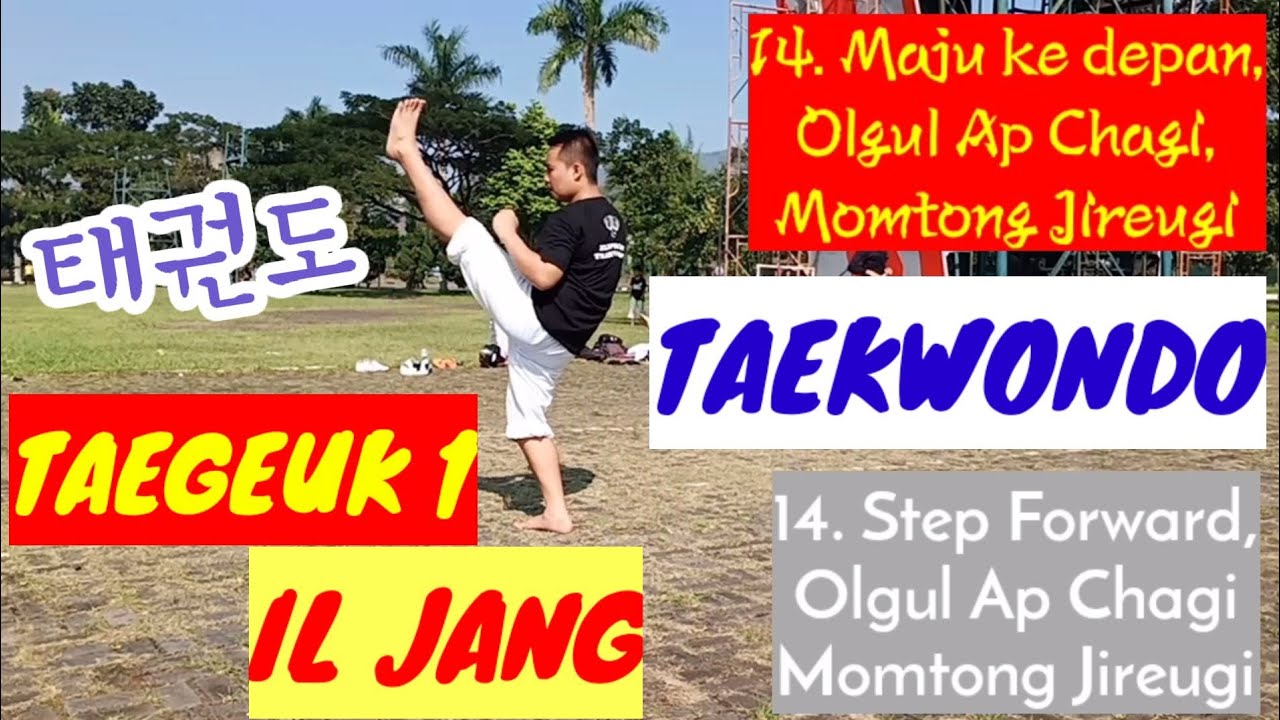 TAEKWONDO TAEGEUK 1 (IL JANG) STEP BY STEP - ELEPHANT TAEKWONDO • 태권도 ...