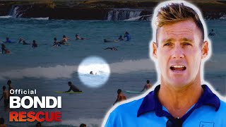 Swimmer Disappears Under Waves - Is Clint Fast Enough?