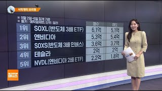 [서학개미 브리핑] 엔비디아, 지난 2주간 20.5% 급락 '악몽의 시간'