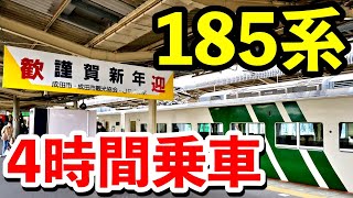 185系に4時間も乗れる臨時快速列車に乗ってみた【初詣臨】