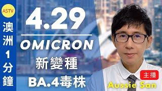 澳洲新聞2022/4/29 OMICRON新變種BA.4毒株