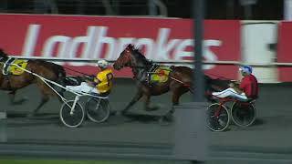 Just Believe wins the 2023 Inter Dominion heats at Albion Park