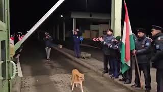 Dog applauded at the Romania-Hungary border as Romania joins the Schengen Area, first being to cross