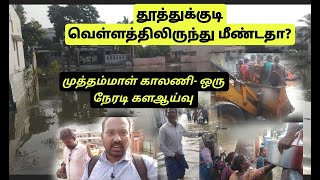 தூத்துக்குடி வெள்ளத்திலிருந்து மீண்டதா? முத்தம்மாள் காலணி- ஒரு நேரடி களஆய்வு.! #tuticorin#cyclone