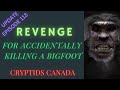 CC episode 441 UPDATE -  REVENGE FOR ACCIDENTALLY KILLING A BIGFOOT