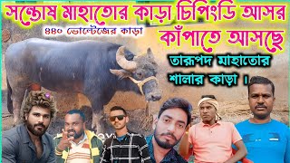 ৪৪০ ভোল্টেজ তারূপদ মাহাতোর শালার কাড়া চিপিংডি আসর কাঁপাতে আসছে !! Santosh Mahato vs Kanai Mahato