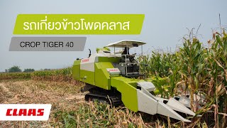 รถเกี่ยวข้าวโพดคลาส CROP TIGER 40.