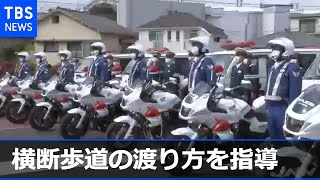 警視総監が新１年生に横断歩道の渡り方を指導 春の全国交通安全運動【Nスタ】