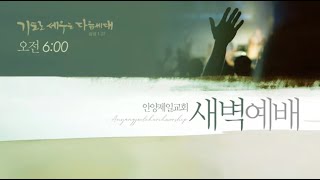 [새벽기도회] 2월 28일 (금) / 이수진 목사