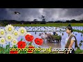 ပါးကွက်ကြားလေးနဲ့အညာသူ