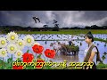 ပါးကွက်ကြားလေးနဲ့အညာသူ