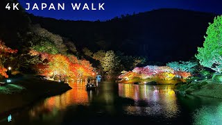 4K Japan - Autumn Illumination in Ritsurin Garden, Takamatsu 🍁 栗林公園イリュミネーション