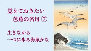 【俳句の朗読】松尾芭蕉・覚えておきたい名句（49・50歳）１６句　字幕付き　「青くてもあるべきものを唐辛子‥」文学を愛するあなたへ。