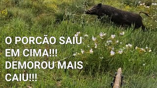 O PORCÃO SAIU EM CIMA!!! DEMOROU MAS CAIU!!!