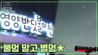 [#지구는엄마다]★밤은 불을 끄고 별을 켜는 시간★ 우리나라에서 은하수를 볼 수 있는 '영양 반딧불이 공원' |  지구는 엄마다2 밤하늘 구하기 #지구는엄마다2 #은하수 #빛공해