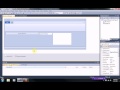 How to REALLY Make Your Application Look Professional in Visual Basic 2008/2010