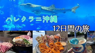 【主の日常】ハレクラニ沖縄12日間の旅最終章！