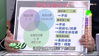 肺癌治療方式 健康2.0 20151114 (2/4)