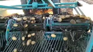 VIDEO ARRANCADORA DE PATATAS HORPISO HM 4 FILAS C HIERRO