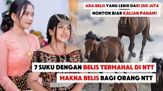 Belis Termahal Di NTT | Ada Belis Yang Lebih Dari 250 Juta Loh!