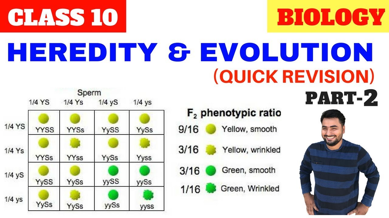 HEREDITY AND EVOLUTION CLASS 10 CBSE PART-2 - YouTube