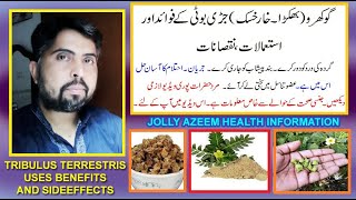 gokhru / kharkhask jari booti kay fawaid aor nuqsan | Tribulus terrestris benefits and sideeffects |