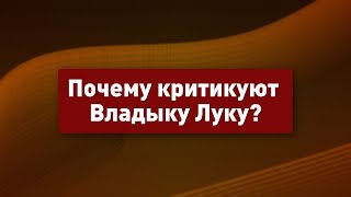 Митрополит Запорожский Лука: За что его критикуют представители УПЦ?