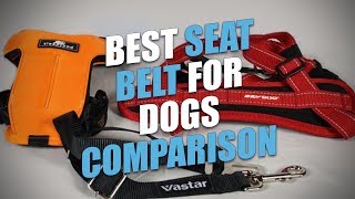 Best Seat Belt for Dogs Comparison