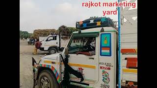 rajkot marketing mandi #trending #viralreels #automobile #love #shorts#mandi #marketing#rajktot#vlog