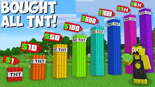 What if YOU BUY ALL SIZES OF RAREST TNT in Minecraft ? TINY TNT VS LONGEST TNT !