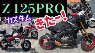 Ｚ125初参加！　待ってましたのカワサキＺを見たかった😃　　余部鉄橋からの鳥取からあげの店に行く予定が…