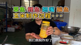 夏季钓草鱼的玉米，自己在家都可以制作···