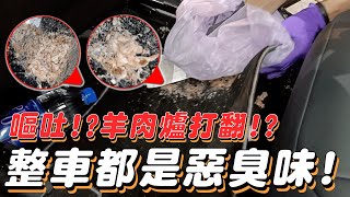 【噁心極致】滿車都是嘔吐物! 滿滿惡臭味! 嘔吐車拆洗流程分享 吃飯不要看!