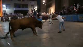 Suelta de toros en Cascante 2019