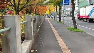 この恵まれた日々　札幌移住1000日目