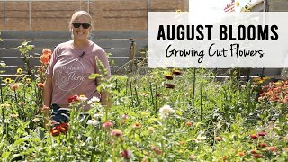 What's Blooming in the Garden in August!! Growing Cut Flowers - Sunshine and Flora