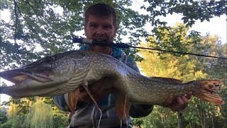 Ultralight Fishing For BIG Northern Pike From Shore In Small Creeks!