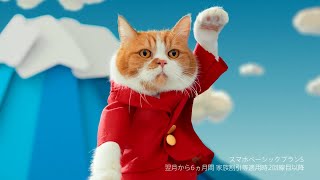 Y!mobile CM 「Y!でいいのだ」篇 15秒