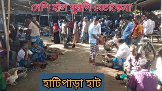 গ্রাম অঞ্চলের হাটে হাঁস-মুরগি বেচাকেনা  | হাটিপাড়া হাট,মানিকগঞ্জ সদর।Chicken village hat