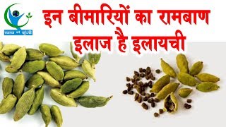 इलायची के दानों से दूर होती है आपकी अनेकों समस्याएं... | Amazing Health Benefits Of Cardamom Seeds