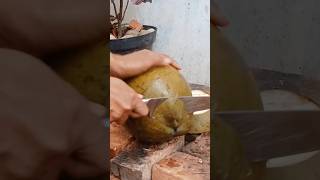 Coconut Cutting Skills #youngcoconut #coconutwater #coconut #greencoconut #coconuttree #viral eps 85