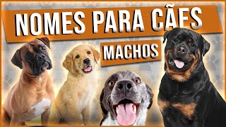 51 NOMES INCRÍVEIS e engraçados para cachorros MACHOS - Porte grande ou pequeno