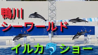 イルカ🐬ショー🐬再開されました😄鴨川シーワールド🌸Kamogawa SeaWorld💖12月はいすみ市・鋸南町・佐倉市・成田市・御宿町・浦安市住民、大人3300円→2700円・小人1600円❤️