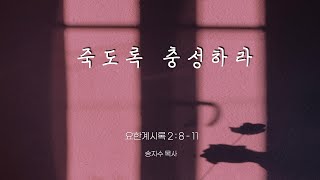 충정교회 청년부  주일예배 \